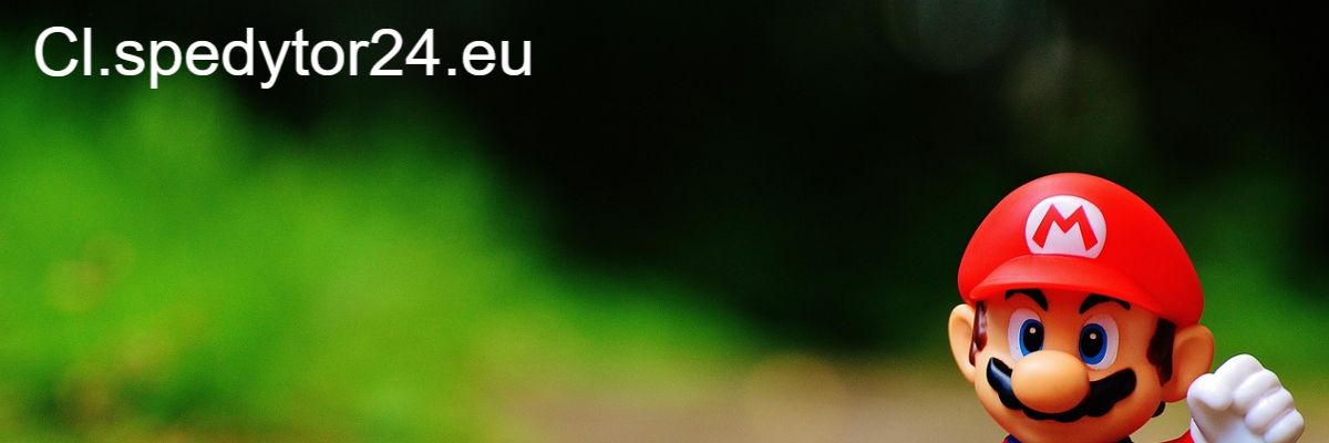 cl.spedytor24.eu